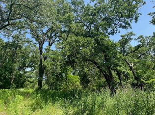 44 Antrim Ct, Poolville, TX 76487
