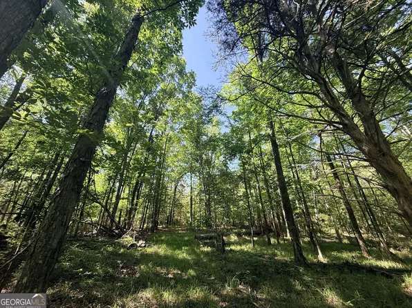 580 Saggus Rd, Washington, GA 30673