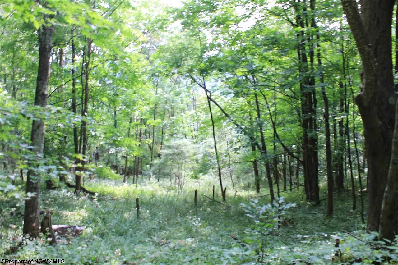 7 High Mountain Rd photo 1