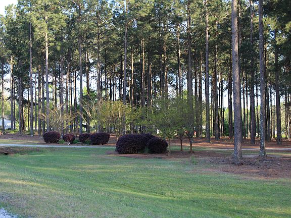 Front roadside entrance3