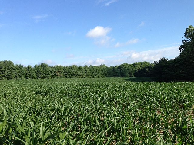 1st image of 7954 W County Road 75 S