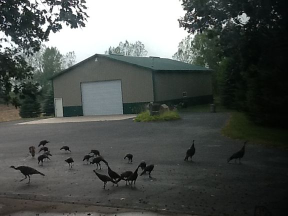 4th image of 6161 County Road 22 NW
