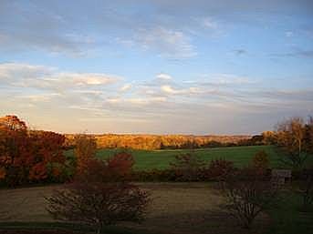 100 acre rear view