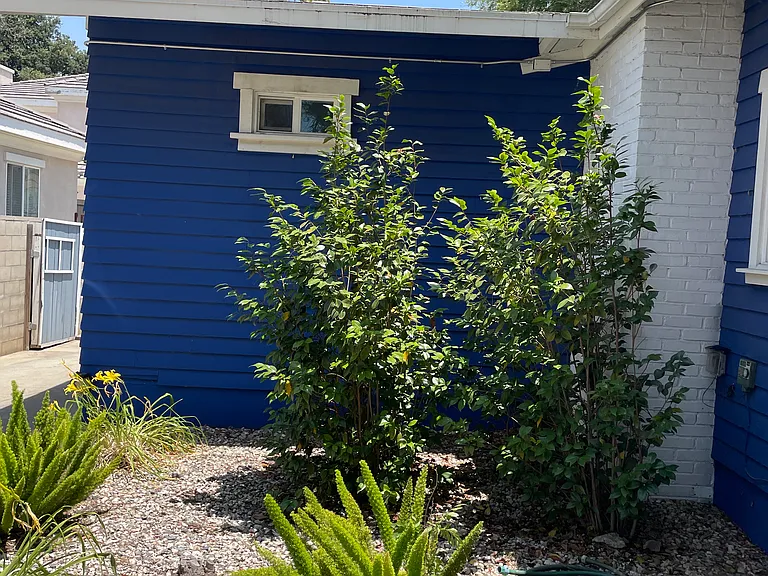 70 S Altadena Dr — Photo 2