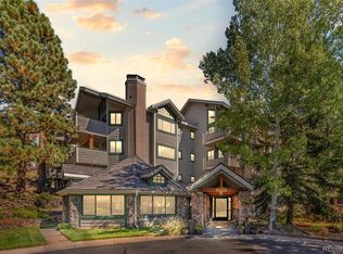 31819 Rocky Village Dr APT 317, Evergreen, CO 80439