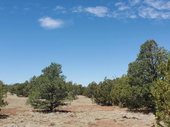 17 County Road 8077, Concho, AZ 85924
