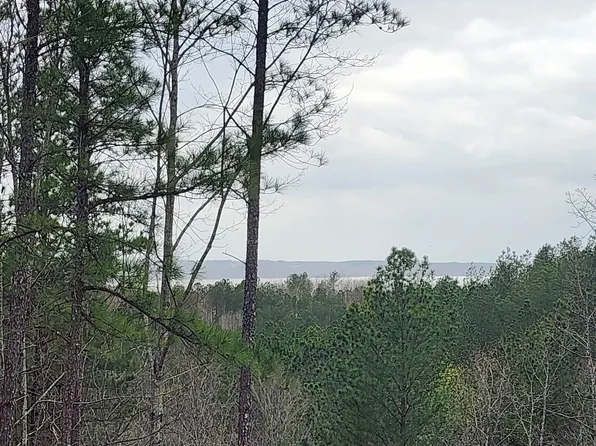 LOT 5 Eagle Point Dr, Cherokee, AL 35616