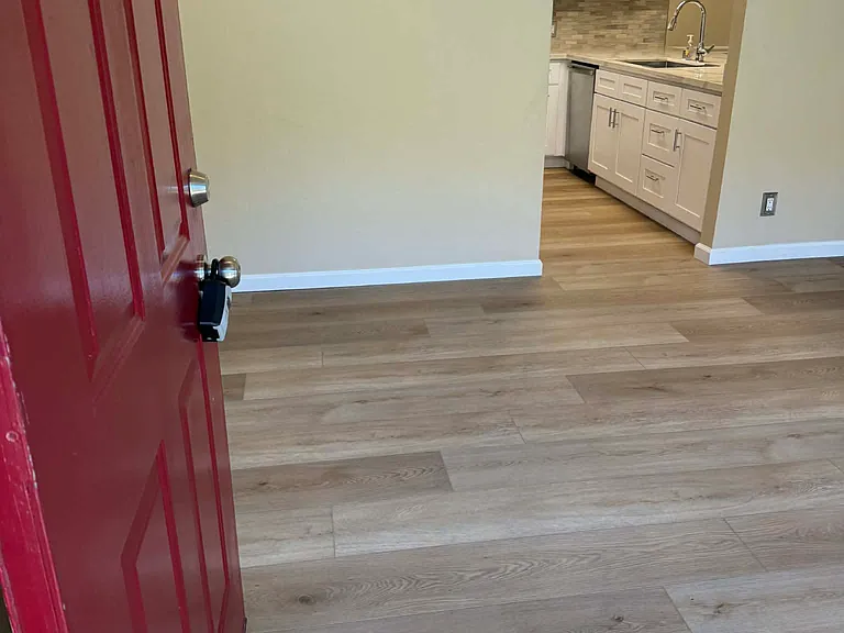 Carissa Dr — Photo 26