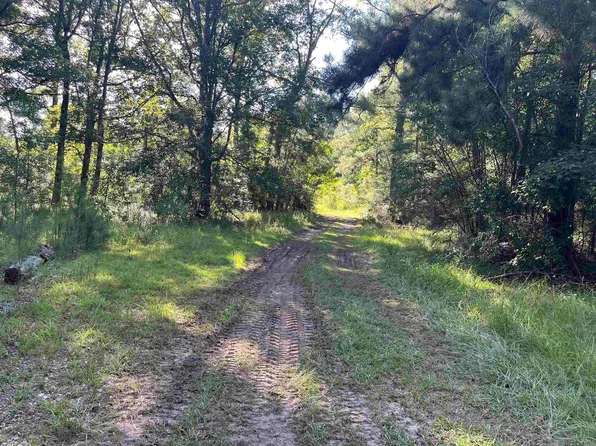 4210 Highway 63, Clinton, LA 70722