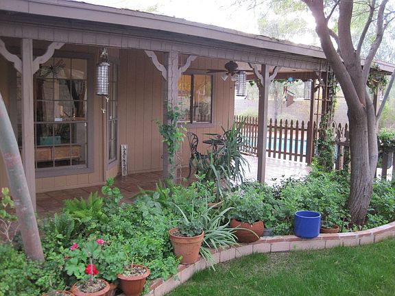 Back yard