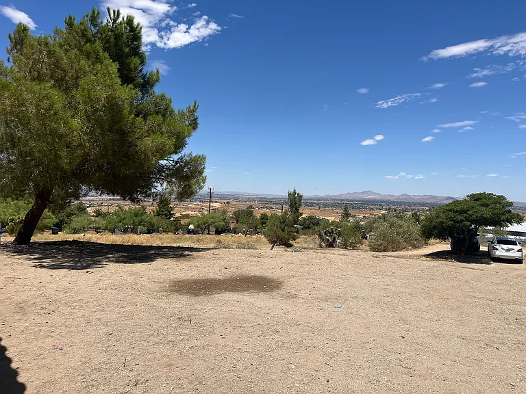 Buena Vista St — Photo 8