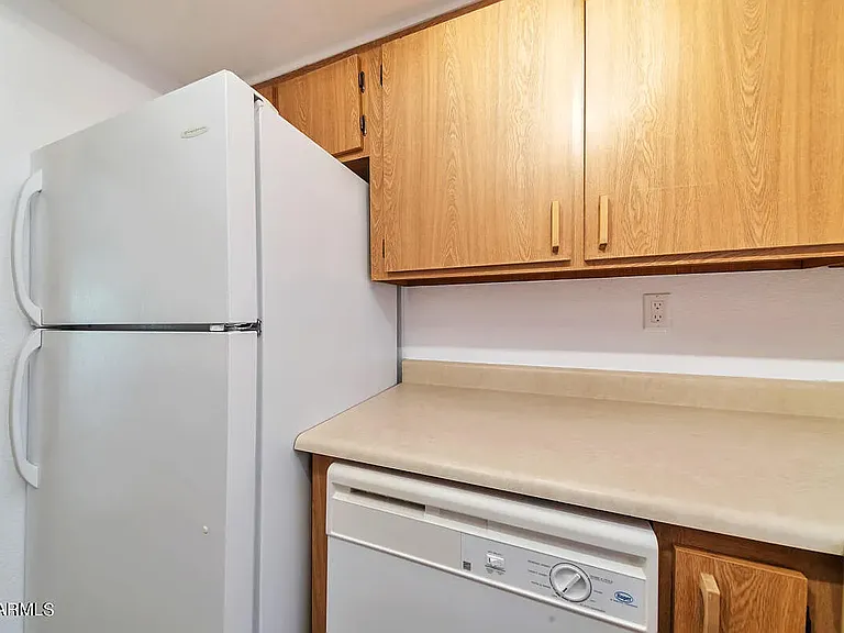 1215 E Lemon St #205 — Photo 9