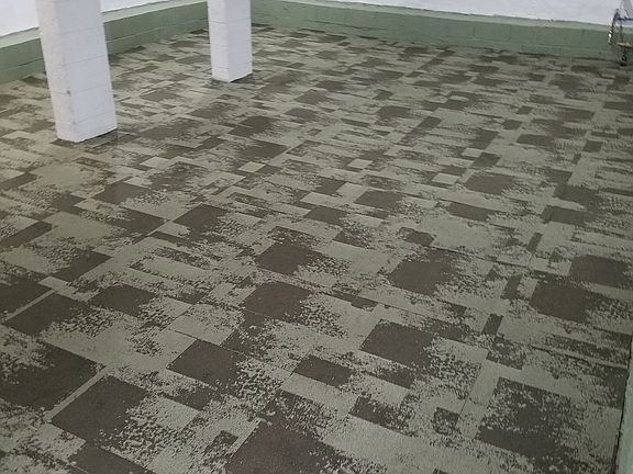 Basement Area