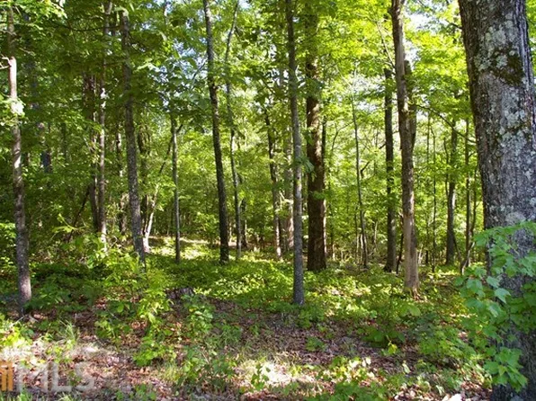 273 High Point Rd, Buchanan, GA 30113