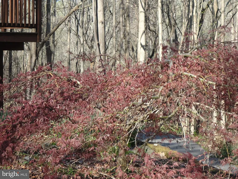 814 Rustic Ln — Photo 13