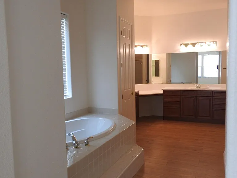 Downstairs Master bath
