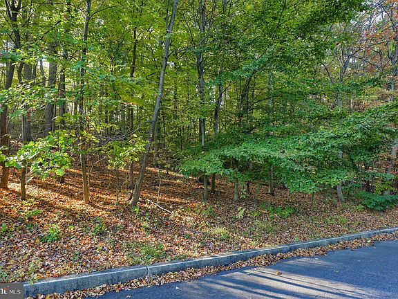 4th image of 58 Buck Run Rd