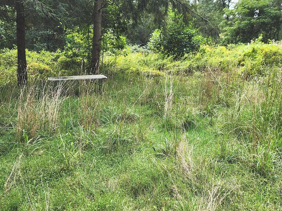 2nd image of 0 Camp Hebron Rd