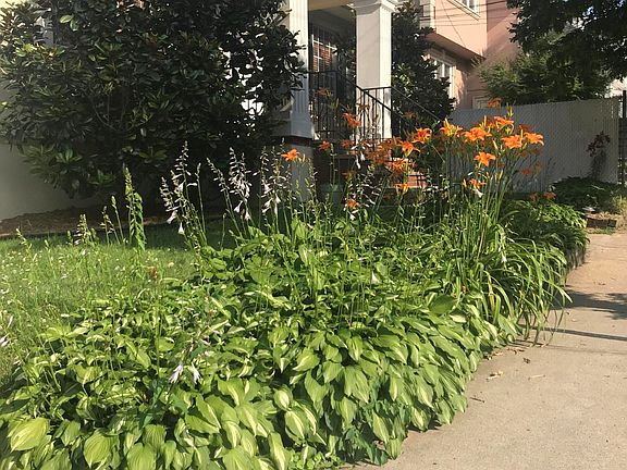4th image of 291 Glen Ave