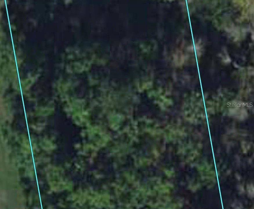 1st image of 10 Selma Trl