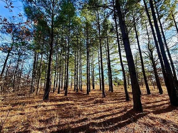 5th image of 98893 S 4540th Rd