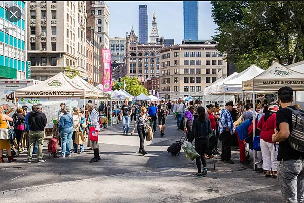 Rented by Compass | media 9