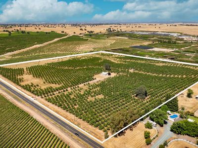 15600 Clements Rd, Lodi, CA, 95240