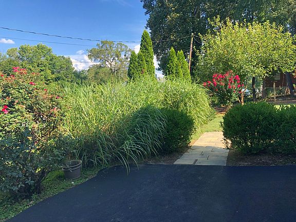 View from driveway and street to backyard area