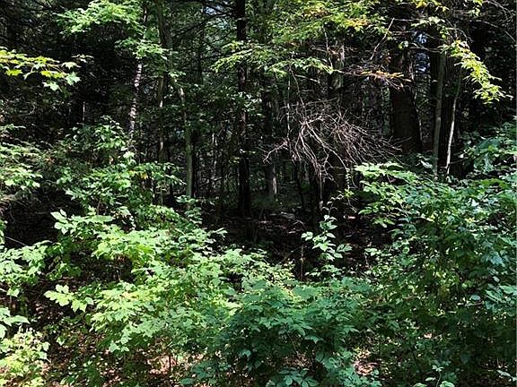 2nd image of 36 Old Sharon Road 3