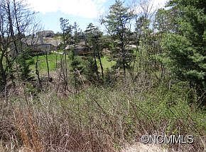 2nd image of 19 Climbing Aster Way #53
