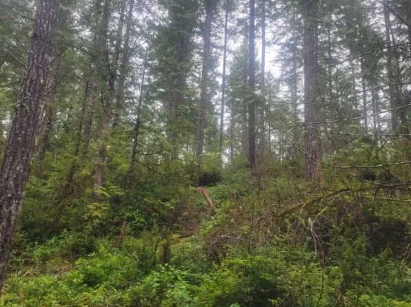 1 GD 2048 Rd, Union, WA 98592