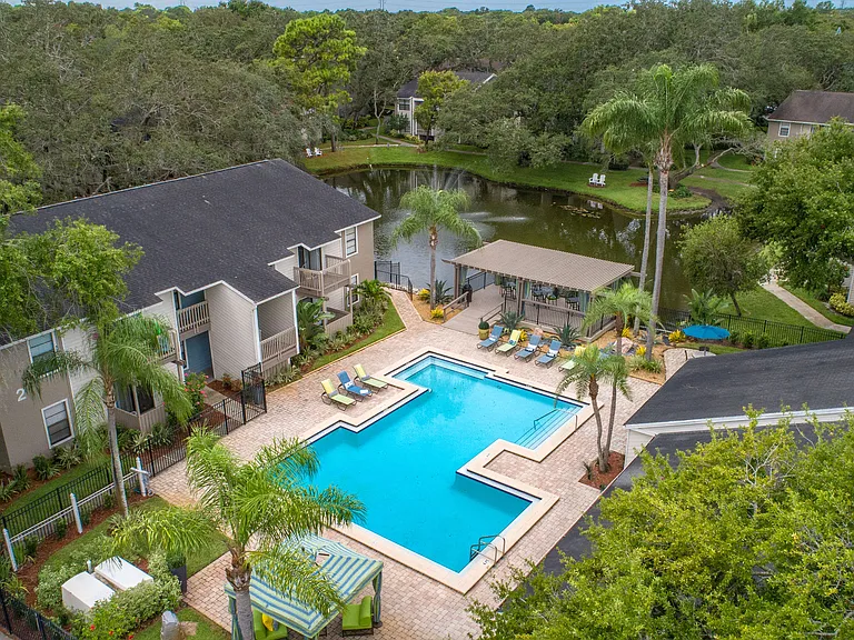 Stillwater Palms — Photo 13