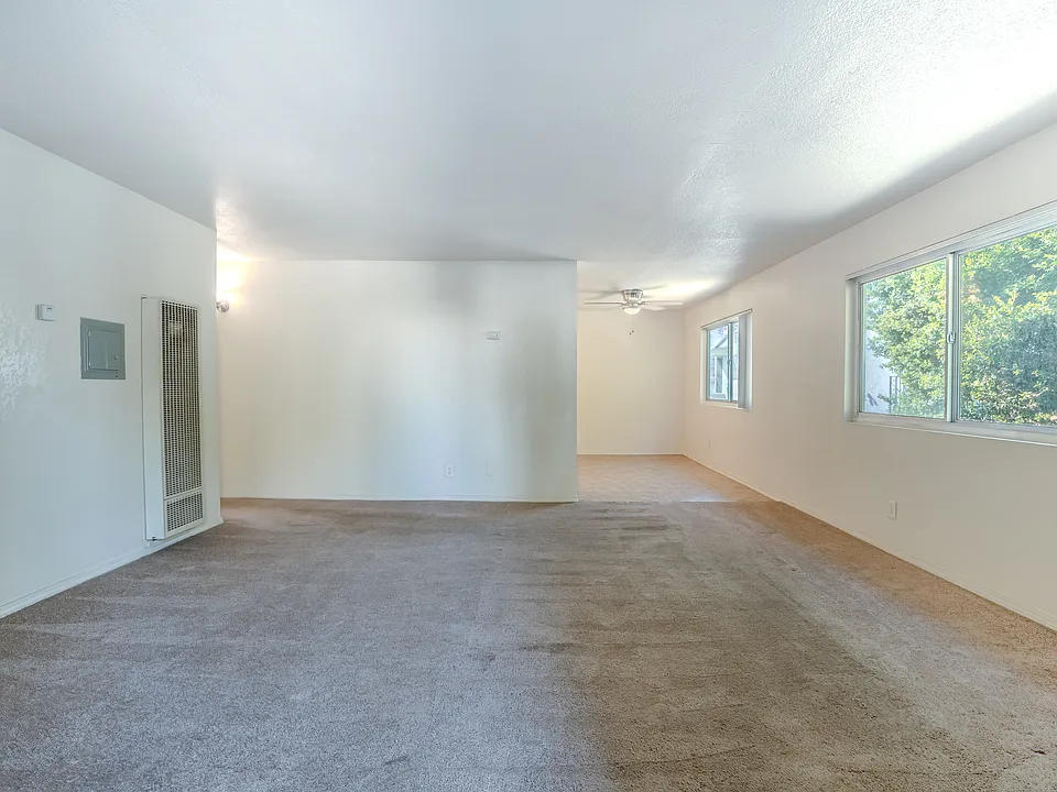 Nice large and bright living room
