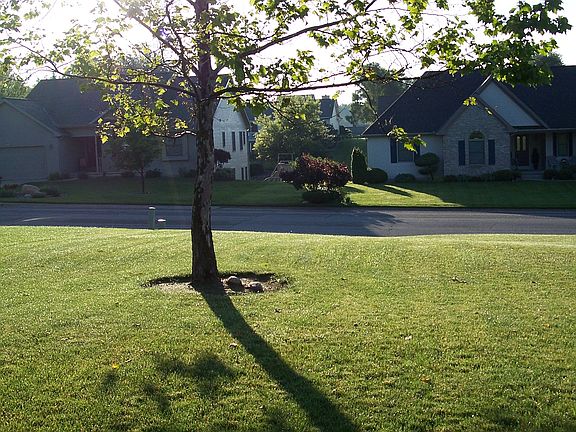quiet neighborhood