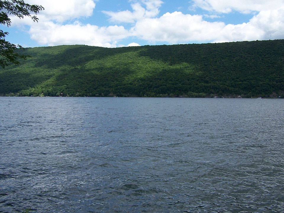 View from deck