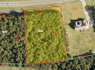 1028 Pineview Cemetery Rd, Seven Springs, NC 28578