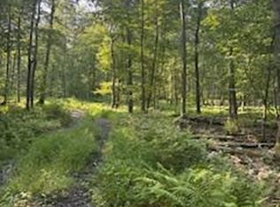 Lots 1 2 3 Five Forks Ln, Fairfield, PA 17320