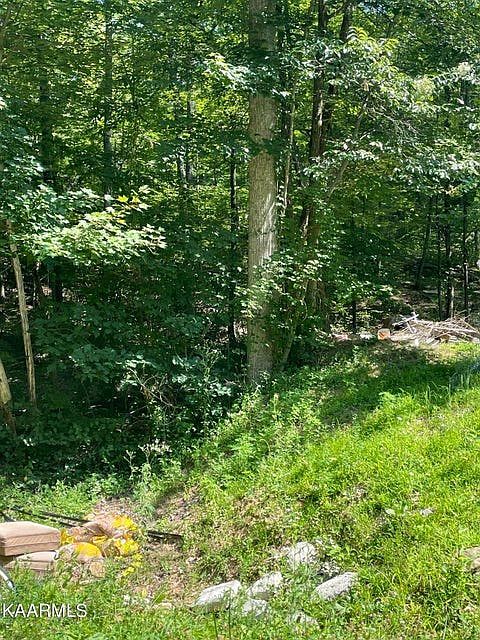 2nd image of LOT 58 Dogwood Ct