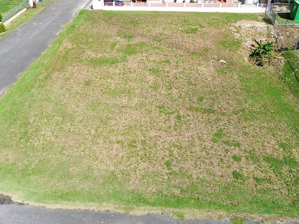 1st image of 20 Ceiba Bja