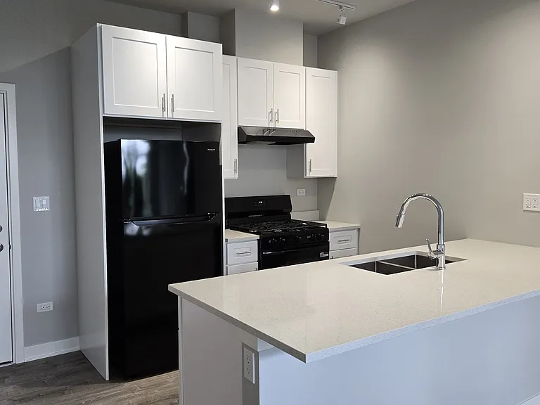 2807 S Halsted St #210 — Photo 4
