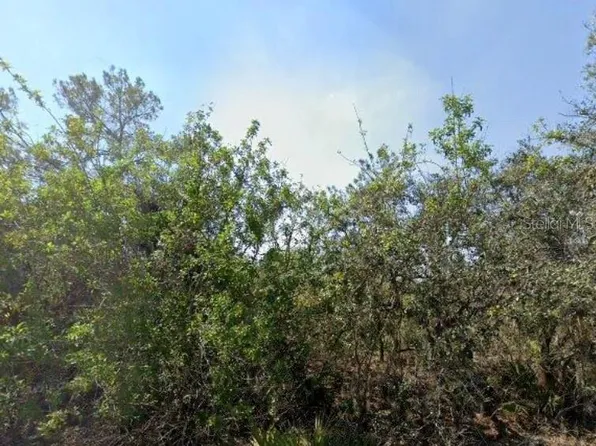 146 Patton Ave, Lake Placid, FL 33852