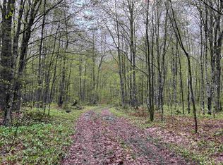 1165 Coaster Rd, Trenary, MI 49891