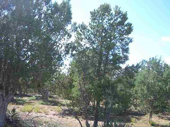 3rd image of 1460 N Hidden Hollow Ln