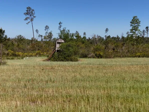 0 Madison Main Line Rd, Greenville, FL 32331