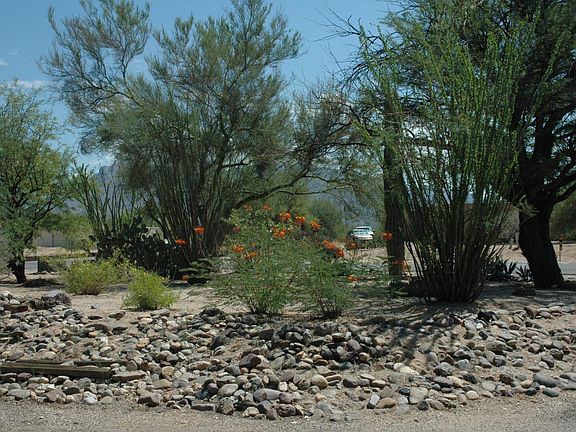 Front yard