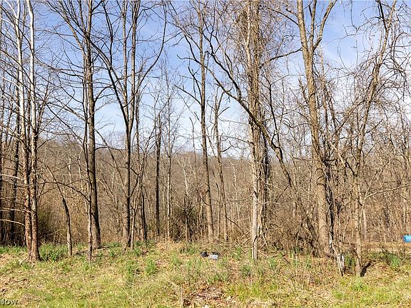 5th image of 505 Back Run Rd