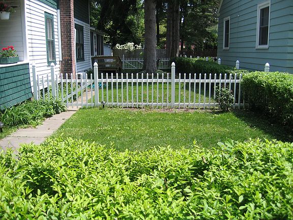 Front/Side Yard of 14 Ritchie Place - Summer 2005