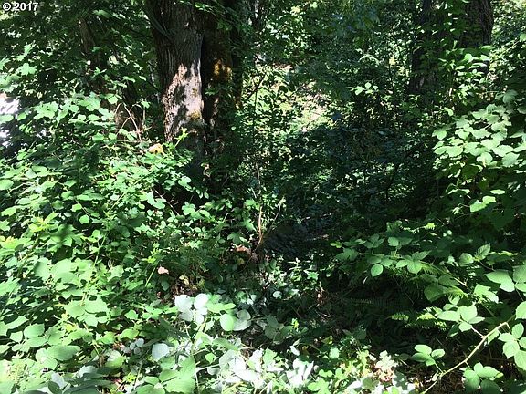 5th image of 31345 SE Oxbow Dr