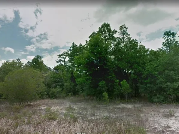 8177 N Pocono Dr, Citrus Springs, FL 34434