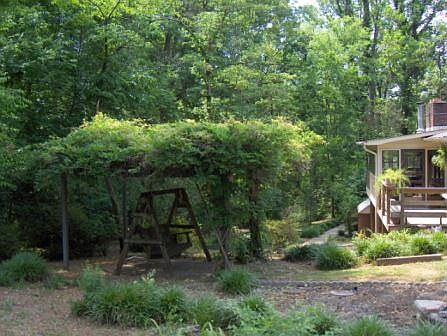 View of landscaping in back yard